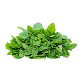 Spearmint